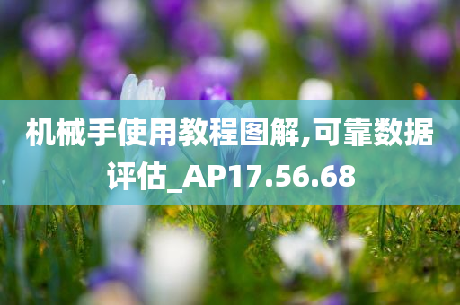 机械手使用教程图解,可靠数据评估_AP17.56.68