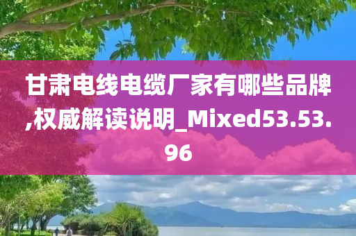 甘肃电线电缆厂家有哪些品牌,权威解读说明_Mixed53.53.96