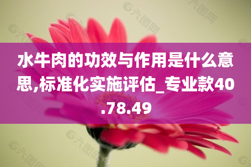 水牛肉的功效与作用是什么意思,标准化实施评估_专业款40.78.49