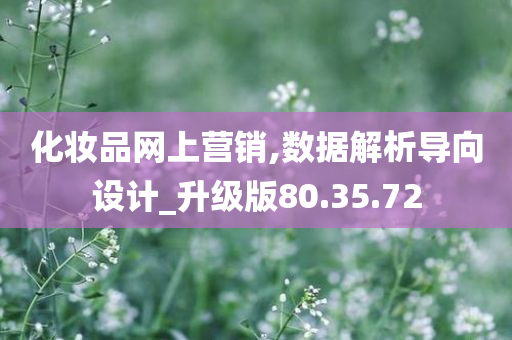 化妆品网上营销,数据解析导向设计_升级版80.35.72