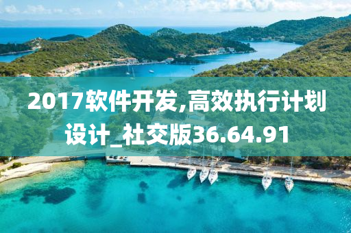 2017软件开发,高效执行计划设计_社交版36.64.91