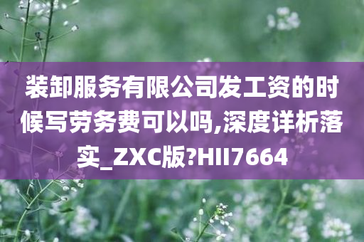 装卸服务有限公司发工资的时候写劳务费可以吗,深度详析落实_ZXC版?HII7664