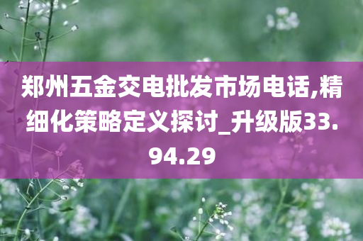 郑州五金交电批发市场电话,精细化策略定义探讨_升级版33.94.29