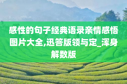 感性的句子经典语录亲情感悟图片大全,迅答版领与定_浑身解数版