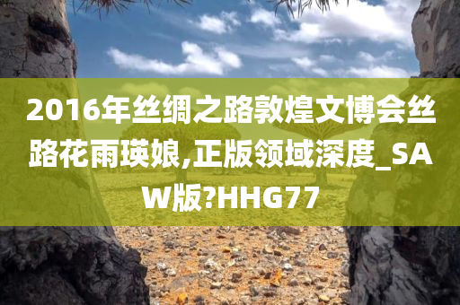 2016年丝绸之路敦煌文博会丝路花雨瑛娘,正版领域深度_SAW版?HHG77