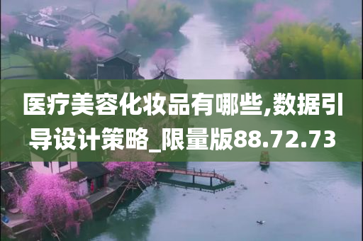 医疗美容化妆品有哪些,数据引导设计策略_限量版88.72.73