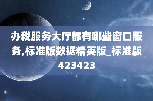 办税服务大厅都有哪些窗口服务,标准版数据精英版_标准版423423