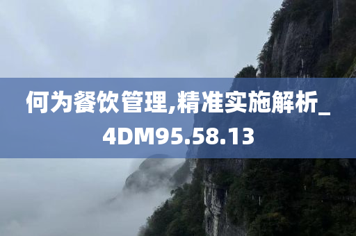 何为餐饮管理,精准实施解析_4DM95.58.13