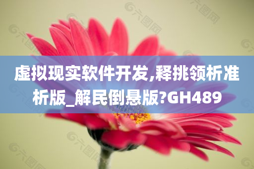 虚拟现实软件开发,释挑领析准析版_解民倒悬版?GH489