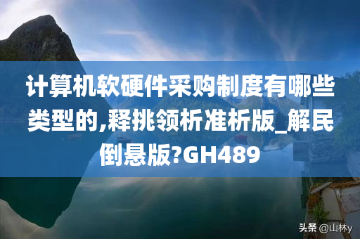 计算机软硬件采购制度有哪些类型的,释挑领析准析版_解民倒悬版?GH489