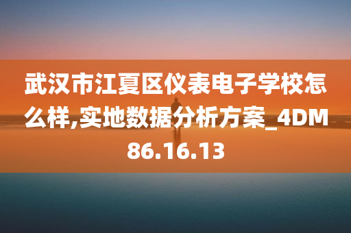 武汉市江夏区仪表电子学校怎么样,实地数据分析方案_4DM86.16.13