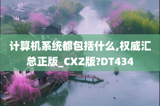 计算机系统都包括什么,权威汇总正版_CXZ版?DT434