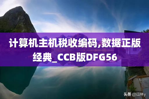 计算机主机税收编码,数据正版经典_CCB版DFG56