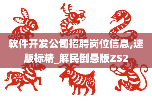 软件开发公司招聘岗位信息,速版标精_解民倒悬版ZS2