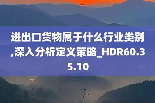 进出口货物属于什么行业类别,深入分析定义策略_HDR60.35.10