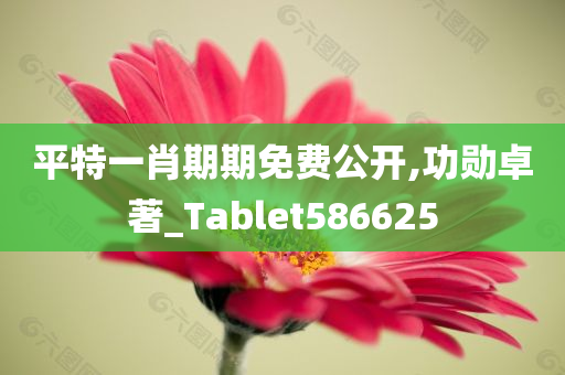 平特一肖期期免费公开,功勋卓著_Tablet586625