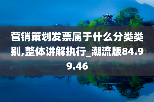 营销策划发票属于什么分类类别,整体讲解执行_潮流版84.99.46