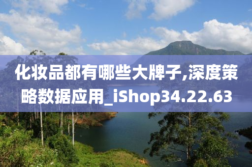 化妆品都有哪些大牌子,深度策略数据应用_iShop34.22.63