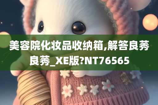 美容院化妆品收纳箱,解答良莠良莠_XE版?NT76565