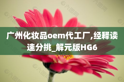 广州化妆品oem代工厂,经释读速分挑_解元版HG6