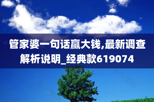 管家婆一句话赢大钱,最新调查解析说明_经典款619074