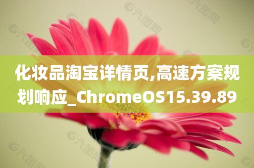 化妆品淘宝详情页,高速方案规划响应_ChromeOS15.39.89