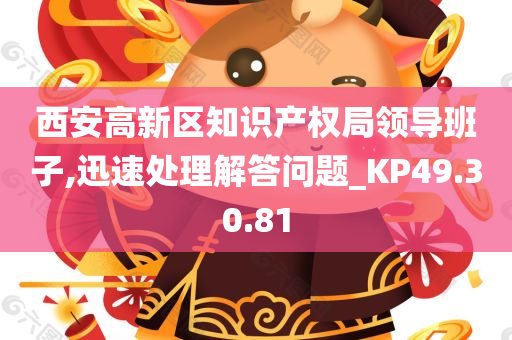 西安高新区知识产权局领导班子,迅速处理解答问题_KP49.30.81