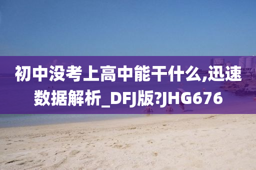 初中没考上高中能干什么,迅速数据解析_DFJ版?JHG676