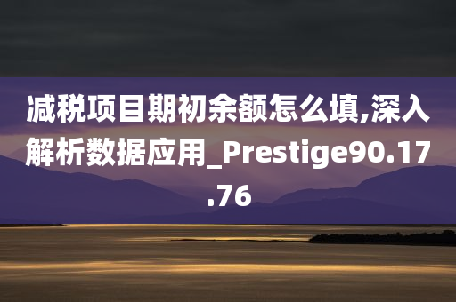 减税项目期初余额怎么填,深入解析数据应用_Prestige90.17.76