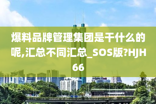 爆料品牌管理集团是干什么的呢,汇总不同汇总_SOS版?HJH66