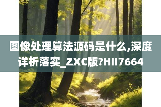 图像处理算法源码是什么,深度详析落实_ZXC版?HII7664