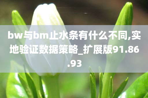 bw与bm止水条有什么不同,实地验证数据策略_扩展版91.86.93