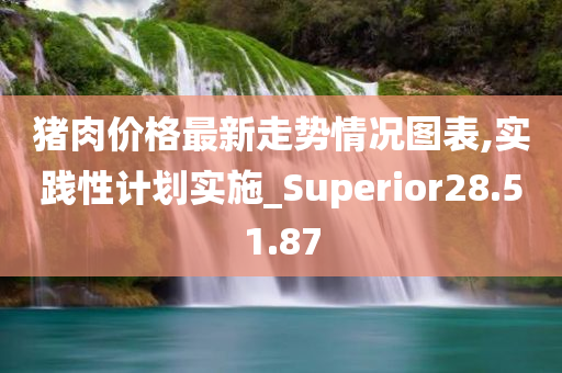 猪肉价格最新走势情况图表,实践性计划实施_Superior28.51.87