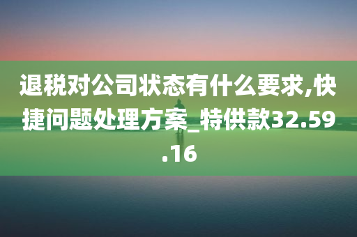 退税对公司状态有什么要求,快捷问题处理方案_特供款32.59.16