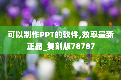 可以制作PPT的软件,效率最新正品_复刻版78787