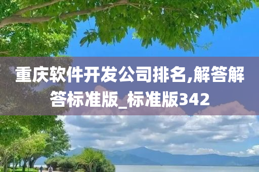 重庆软件开发公司排名,解答解答标准版_标准版342