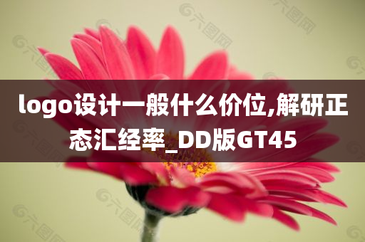 logo设计一般什么价位,解研正态汇经率_DD版GT45