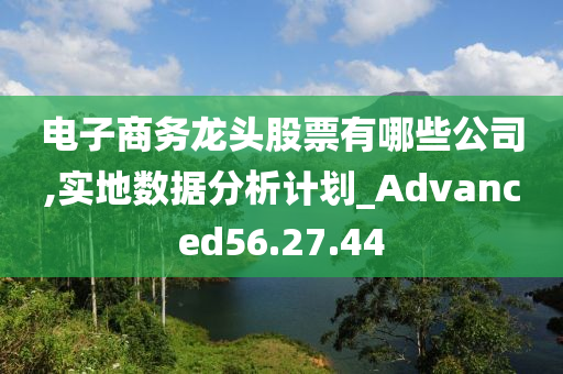 电子商务龙头股票有哪些公司,实地数据分析计划_Advanced56.27.44