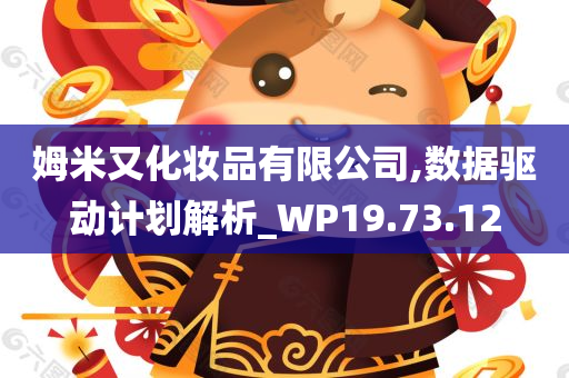 姆米又化妆品有限公司,数据驱动计划解析_WP19.73.12