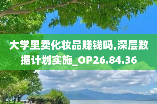 大学里卖化妆品赚钱吗,深层数据计划实施_OP26.84.36