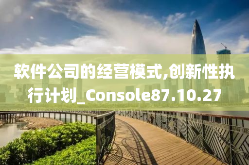 软件公司的经营模式,创新性执行计划_Console87.10.27