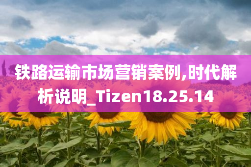 铁路运输市场营销案例,时代解析说明_Tizen18.25.14