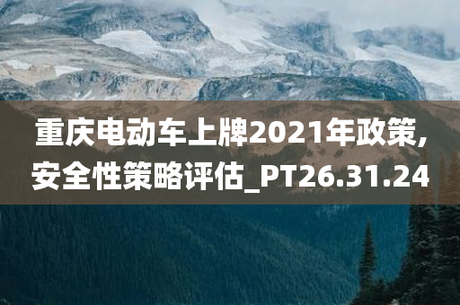 重庆电动车上牌2021年政策,安全性策略评估_PT26.31.24