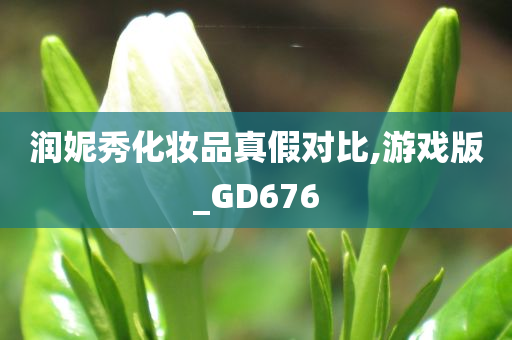 润妮秀化妆品真假对比,游戏版_GD676