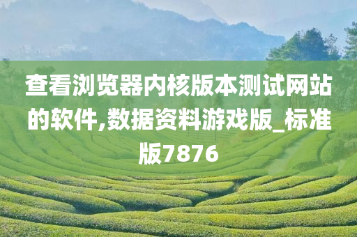 查看浏览器内核版本测试网站的软件,数据资料游戏版_标准版7876