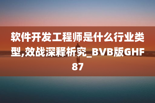 软件开发工程师是什么行业类型,效战深释析究_BVB版GHF87