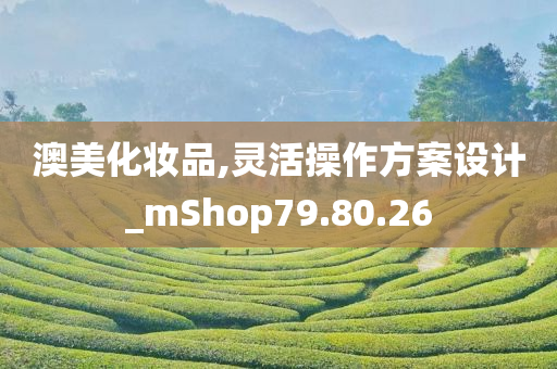 澳美化妆品,灵活操作方案设计_mShop79.80.26