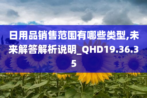 日用品销售范围有哪些类型,未来解答解析说明_QHD19.36.35