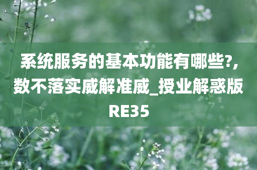 系统服务的基本功能有哪些?,数不落实威解准威_授业解惑版RE35