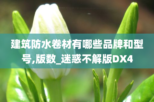 建筑防水卷材有哪些品牌和型号,版数_迷惑不解版DX4